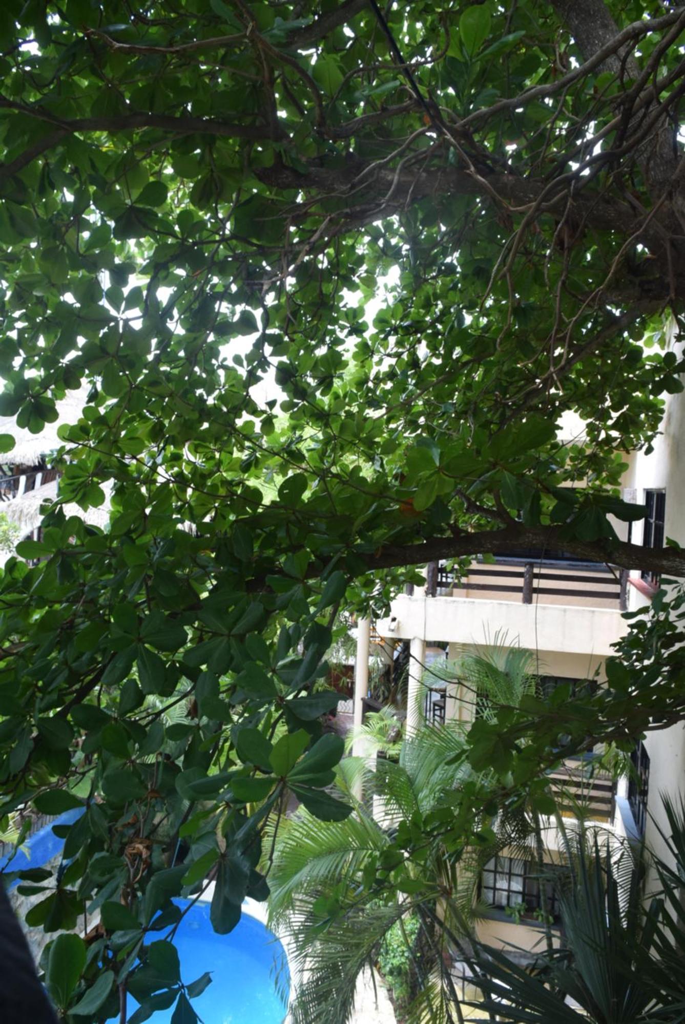 Hotel Casa El Moro ปัวร์โตโมเรลอส ภายนอก รูปภาพ